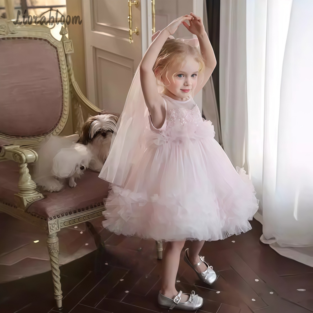Women Formal Wear Dress - Girls' Tulle Gown Layered Skirt Design